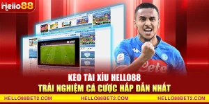 Thể thao Hello88 - Kênh cá cược uy tín dành cho mọi người - FIVEX.LIVE
