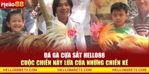 Đá gà Hello88 - Giải trí đỉnh cao với tỷ lệ thưởng hấp dẫn - FIVEX.LIVE