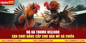 Đá gà Hello88 - Giải trí đỉnh cao với tỷ lệ thưởng hấp dẫn - FIVEX.LIVE