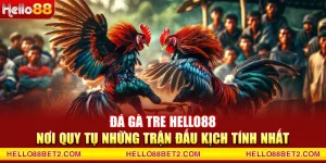 Đá gà Hello88 - Giải trí đỉnh cao với tỷ lệ thưởng hấp dẫn - FIVEX.LIVE