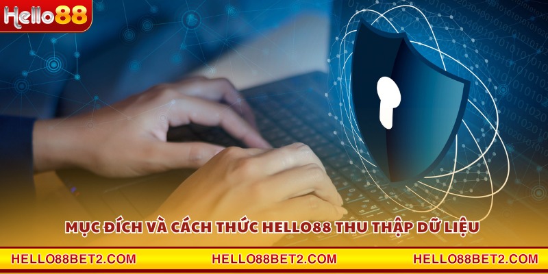 Chính sách bảo mật Hello88 - Tiêu chuẩn an toàn hàng đầu - FIVEX.LIVE