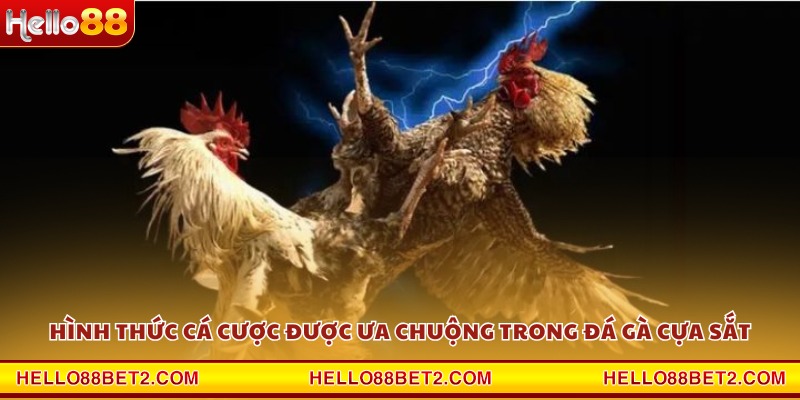Đá gà cựa sắt Hello88 - Cuộc chiến nảy lửa của những chiến kê - FIVEX.LIVE