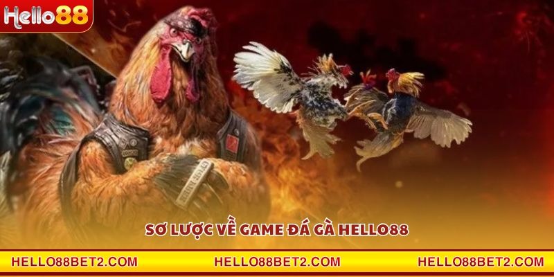 Đá gà Hello88 - Giải trí đỉnh cao với tỷ lệ thưởng hấp dẫn - FIVEX.LIVE
