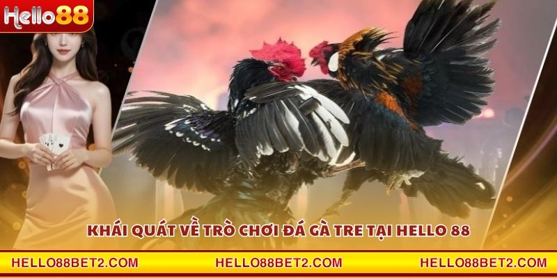 Đá gà Tre Hello88 - Nơi quy tụ những trận đấu kịch tính nhất - FIVEX.LIVE