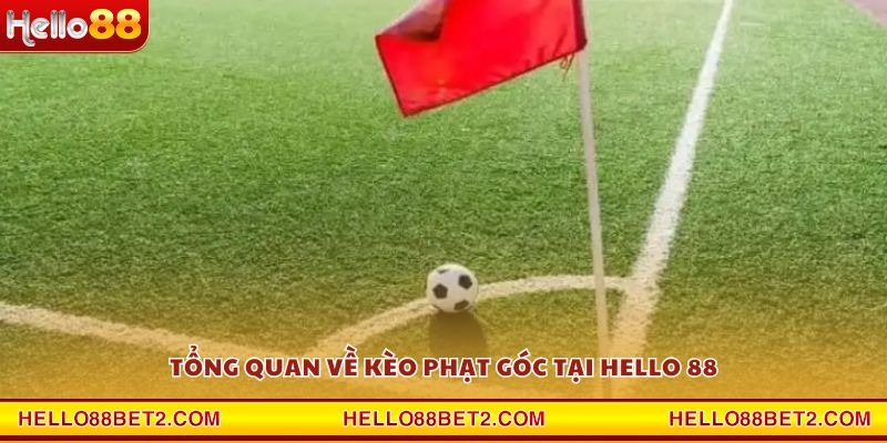 Kèo phạt góc Hello88 - Cơ hội thắng lớn với chiến thuật hợp lý - Hello88 - FIVEX.LIVE