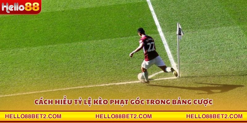 Kèo phạt góc Hello88 - Cơ hội thắng lớn với chiến thuật hợp lý - Hello88 - FIVEX.LIVE
