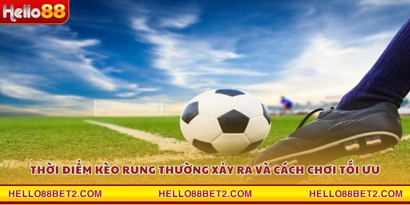 Kèo rung là gì? Tất tần tật kiến thức cược bóng nên biết - FIVEX.LIVE