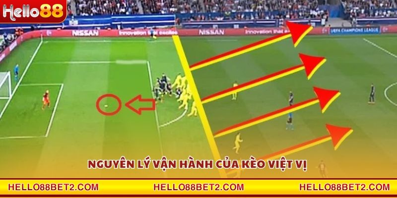Kèo việt vị Hello88 – Cơ hội bứt phá trong cá cược - FIVEX.LIVE