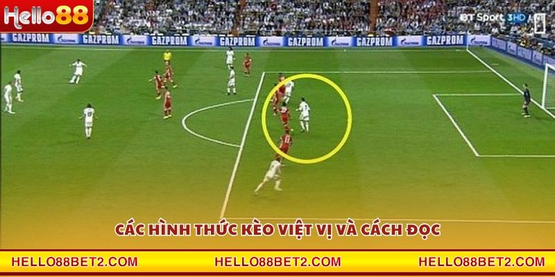 Kèo việt vị Hello88 – Cơ hội bứt phá trong cá cược - FIVEX.LIVE
