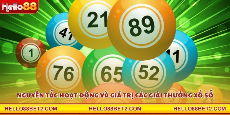 Mẹo chơi xổ số – 5 chiến thuật chơi thông minh nhất - FIVEX.LIVE