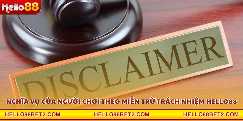 Miễn trừ trách nhiệm Hello88 – Quy định pháp lý cần nắm rõ - FIVEX.LIVE