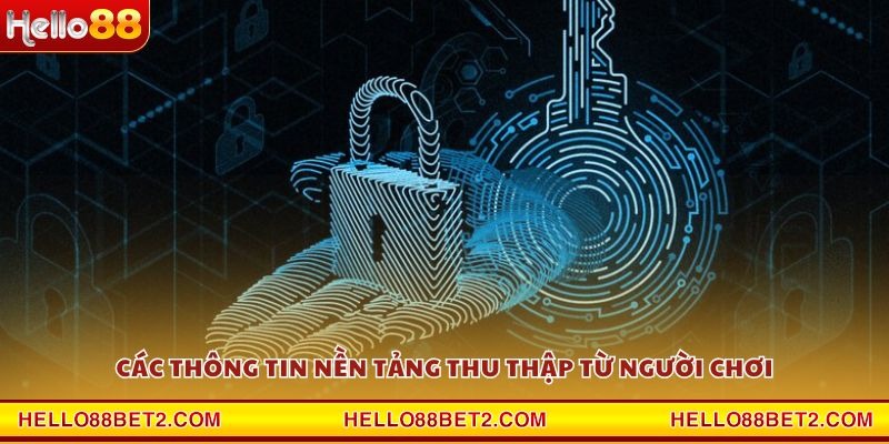 Quyền riêng tư Hello88 - Chính sách rõ ràng và minh bạch - FIVEX.LIVE