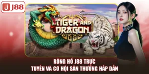 Casino J88 Trực Tuyến Đẳng Cấp Với Nhiều Trò Chơi Hấp Dẫn - FIVEX.LIVE